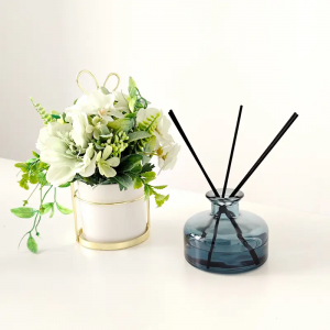 reed diffuser bottle-1